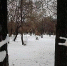 Сделаем город по-настоящему зимним - GorodBerezniki.Ru