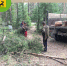Жители села Кольчуг Чердынского района благоустраивают кладбище - NePerm.Ru